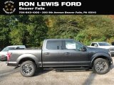 2019 Magnetic Ford F150 XLT SuperCrew 4x4 #135434574