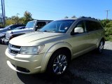 2010 Dodge Journey SXT