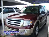 2009 Royal Red Metallic Ford Expedition Eddie Bauer #13531345