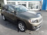 ECO Green Pearl Jeep Compass in 2016