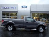 2013 Sterling Gray Metallic Ford F150 XL Regular Cab 4x4 #135671392