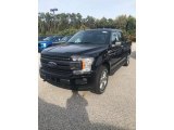 2019 Agate Black Ford F150 XLT SuperCrew 4x4 #135715918