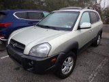 2008 Hyundai Tucson SE 4WD