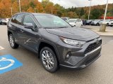 Magnetic Gray Metallic Toyota RAV4 in 2020