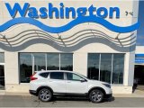 2019 Platinum White Pearl Honda CR-V EX-L AWD #135943345