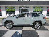 2019 Lunar Rock Toyota RAV4 XLE #136021174