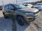 Olive Green Pearl Jeep Compass in 2019