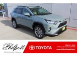 2020 Lunar Rock Toyota RAV4 XLE Premium #136103053