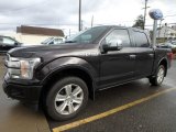 2019 Ford F150 Platinum SuperCrew 4x4 Front 3/4 View