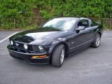 2006 Black Ford Mustang GT Premium Coupe #13603130