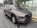 Earthy Bronze Hyundai Santa Fe in 2020
