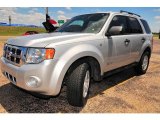 2008 Silver Metallic Ford Escape XLT V6 4WD #13613296