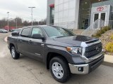 2020 Magnetic Gray Metallic Toyota Tundra SR5 CrewMax 4x4 #136341988