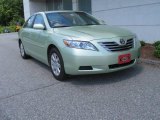 2009 Toyota Camry Hybrid