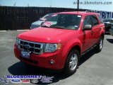 2009 Torch Red Ford Escape XLT V6 #13620055