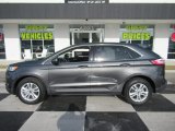 2019 Magnetic Ford Edge SEL #136389032