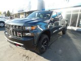 2020 Shadow Gray Metallic Chevrolet Silverado 1500 Custom Trail Boss Crew Cab 4x4 #136406340