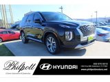 2020 Becketts Black Hyundai Palisade SEL #136421907
