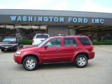 2007 Redfire Metallic Ford Escape XLT V6 4WD #13615713