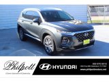2020 Rainforest Hyundai Santa Fe SEL #136534913