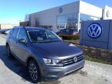 2020 Platinum Gray Metallic Volkswagen Tiguan SE 4MOTION #136561934