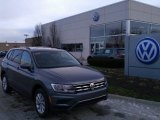 2020 Platinum Gray Metallic Volkswagen Tiguan S #136561940