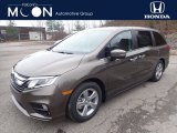 2020 Pacific Pewter Metallic Honda Odyssey EX-L #136654279