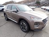 2020 Hyundai Santa Fe Earthy Bronze