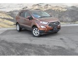 2019 Canyon Ridge Metallic Ford EcoSport SE 4WD #136726810