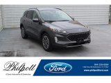 2020 Magnetic Metallic Ford Escape SEL #136790495