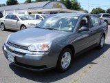 2005 Medium Gray Metallic Chevrolet Malibu LS V6 Sedan #13671924