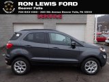 2020 Smoke Metallic Ford EcoSport SE #136938393