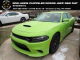 2019 Sublime Metallic Dodge Charger R/T Scat Pack #137031422