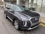 2020 Steel Graphite Hyundai Palisade SEL AWD #137115756