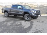 2020 Magnetic Gray Metallic Toyota Tacoma TRD Off Road Double Cab 4x4 #137224950
