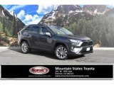 2020 Magnetic Gray Metallic Toyota RAV4 XLE Premium #137396597
