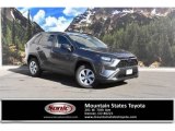 2020 Magnetic Gray Metallic Toyota RAV4 LE AWD #137421656