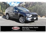 2020 Magnetic Gray Metallic Toyota RAV4 XLE Premium AWD #137489000