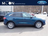 2020 Dark Persian Green Metallic Ford Escape SE 4WD #137516327