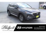2020 Portofino Gray Hyundai Santa Fe SEL #137531199
