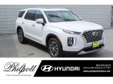 Hyper White Hyundai Palisade in 2020