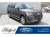 2020 Magnetic Ford Expedition XLT Max #137543663