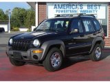 2003 Black Clearcoat Jeep Liberty Sport 4x4 #13745574