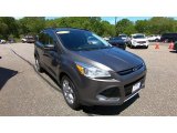 2013 Sterling Gray Metallic Ford Escape SEL 1.6L EcoBoost 4WD #138179977
