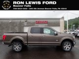 Stone Gray Ford F150 in 2020