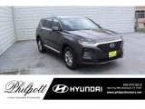 2020 Portofino Gray Hyundai Santa Fe SE #138199578