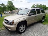 Sandstone Metallic Chevrolet TrailBlazer in 2006