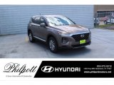 2020 Earthy Bronze Hyundai Santa Fe SE #138242018
