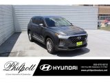 2020 Rainforest Hyundai Santa Fe SE #138261886