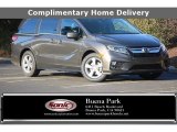 2020 Pacific Pewter Metallic Honda Odyssey EX-L #138295839